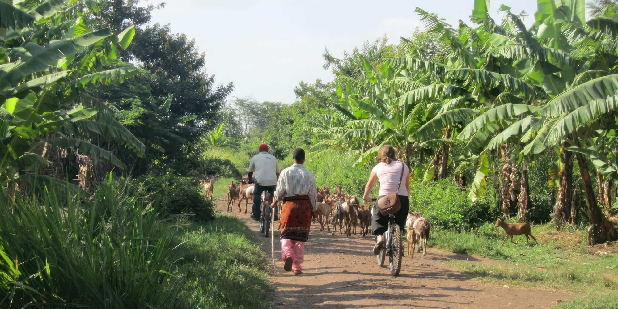 Dia 6: Ciclismo e Cultura em Mto wa Mbu