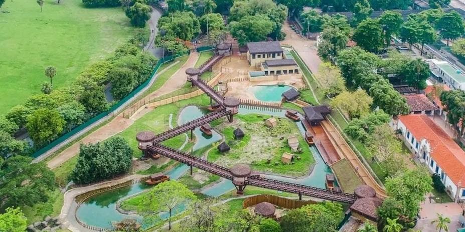 Día 3 | Río de Janeiro, BioParque, AquaRio y Yup Star, un recorrido del pulso natural al horizonte infinito