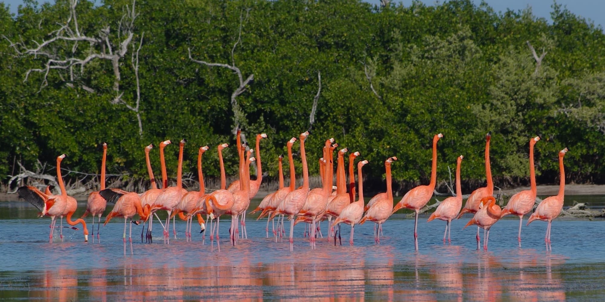 DÍA 3 - LAS COLORADAS Y RIO LAGARTOS