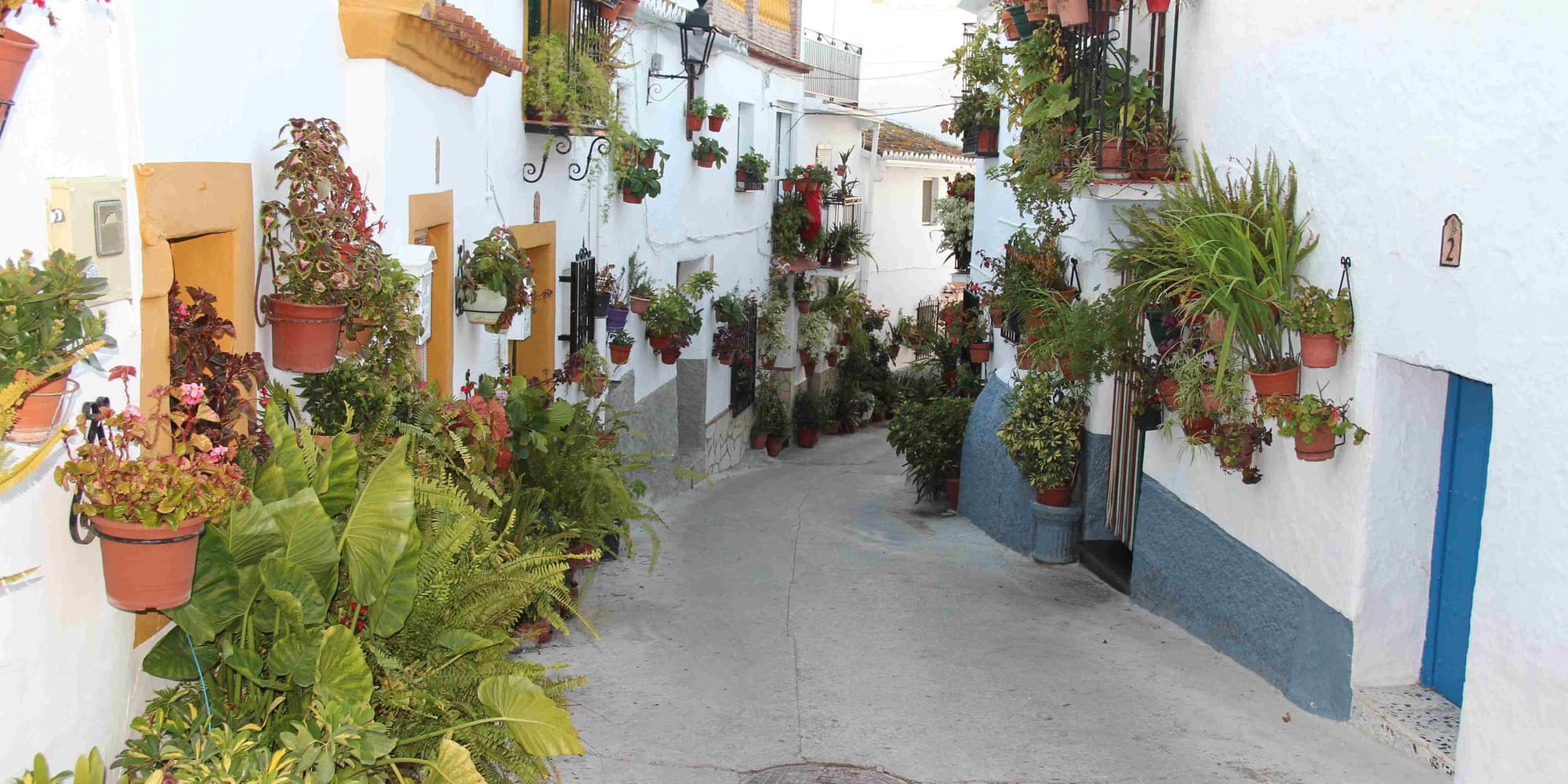 DAY 5: CÓMPETA - CANILLAS DE ACEITUNO