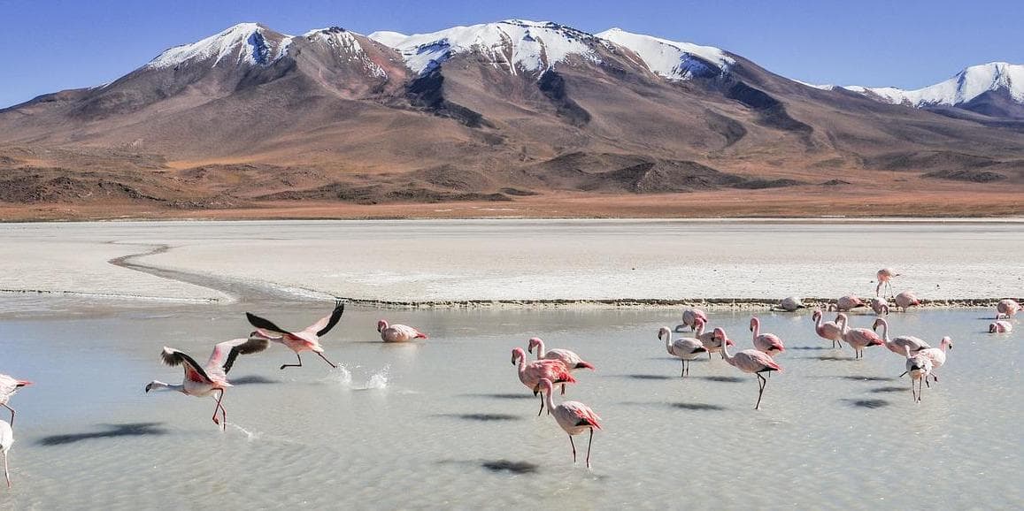 4° giorno – Martedì: UYUNI / LAGUNA HEDIONDA