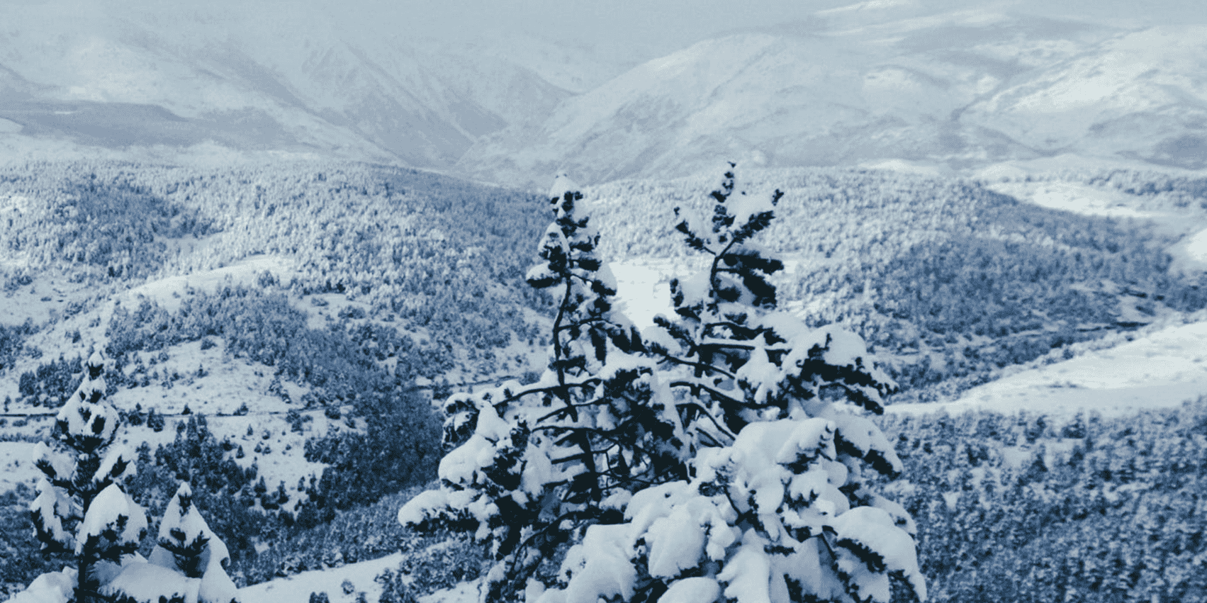 DÍA 5 - ARINSAL - LA SEU D'URGELL - PALMA