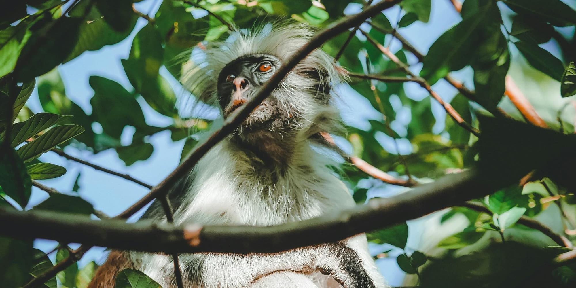 DAY 5: LAST MOMENTS IN PARADISE