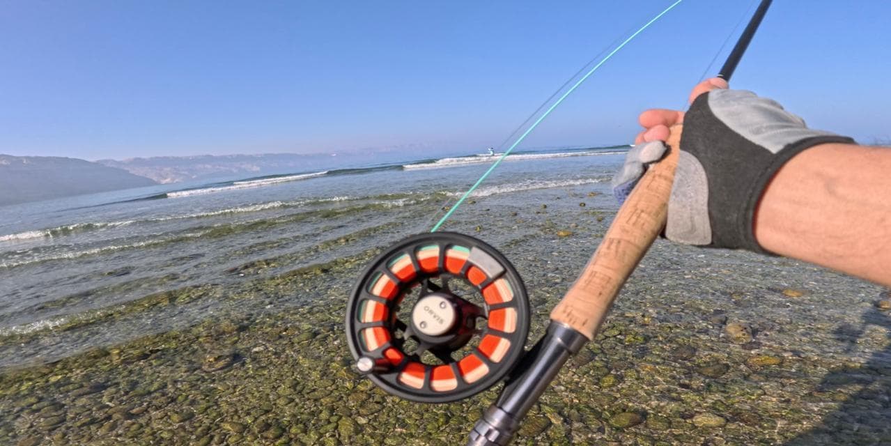 Day 2: Advanced Techniques & Strategy