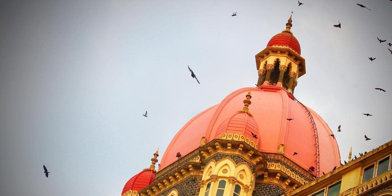 Giorno 8: Trasferimento da Kanha all’Aeroporto di Raipur (223 km – 4,5-5 ore) e volo per Mumbai