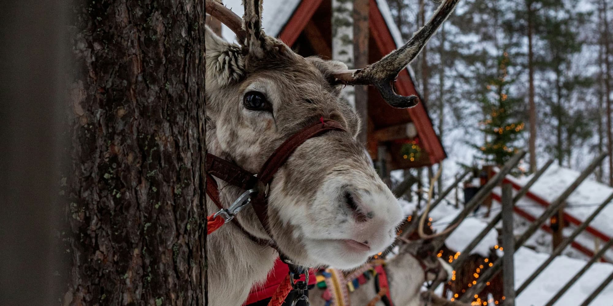 SABADO 02 ENERO / ROVANIEMI – SALIDA