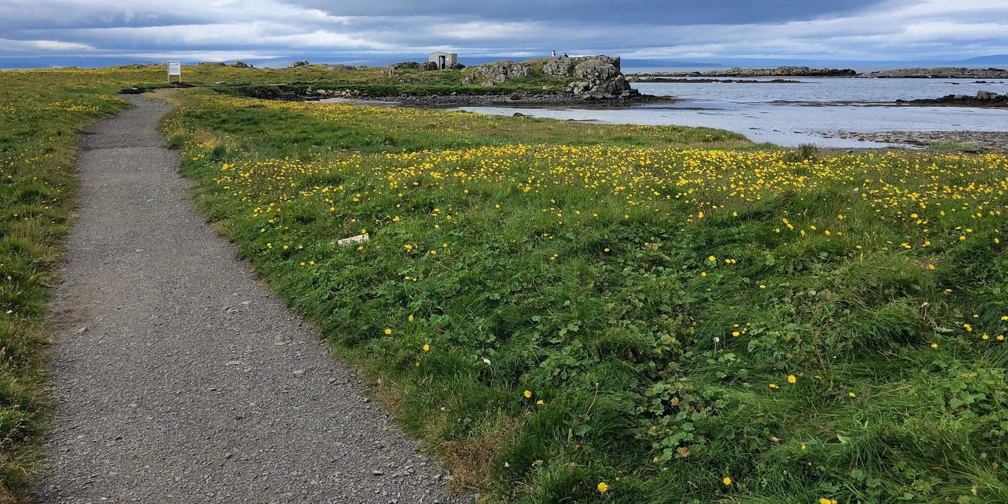 Day 6 — Whale Watching in Eyjafjörður - Siglufjörður -Tröllaskagi - Laugarbakki