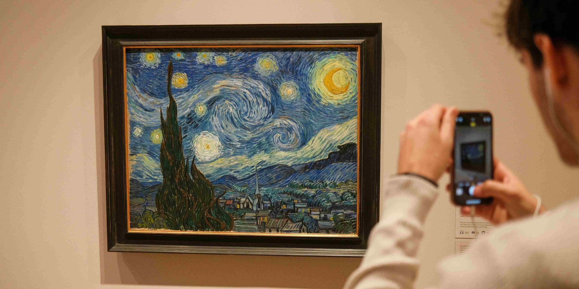 DIA 3: DIA CULTURAL I TARDA A CENTRAL PARK