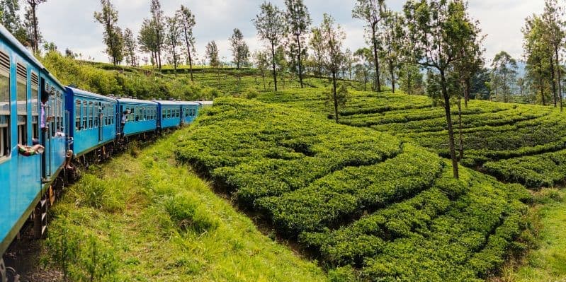 KANDY / NANU OYA / NUWARA ELIYA 