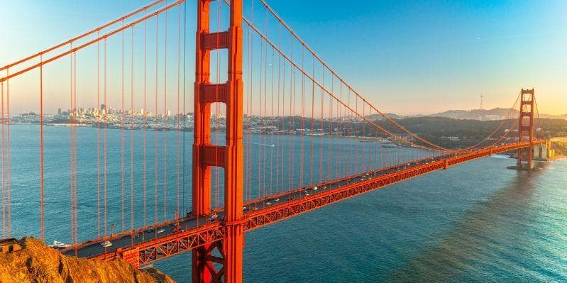 BOLOGNA / AMSTERDAM / SAN FRANCISCO