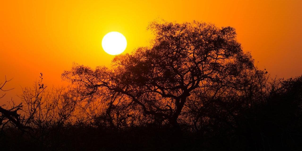 7º GIORNO: Parco Nazionale di ETOSHA 