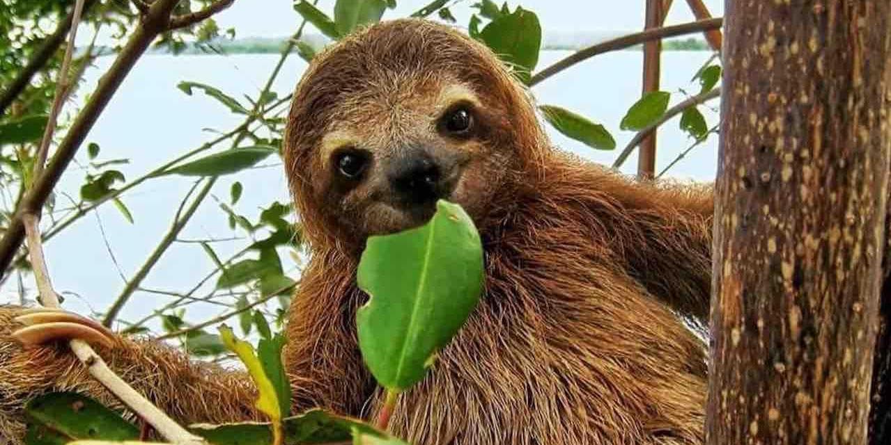 DAY 4 • PANAMA CITY