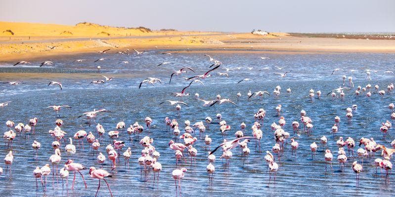 PARCO NAZIONALE NAMIB-NAUKLUFT / SWAKOPMUND