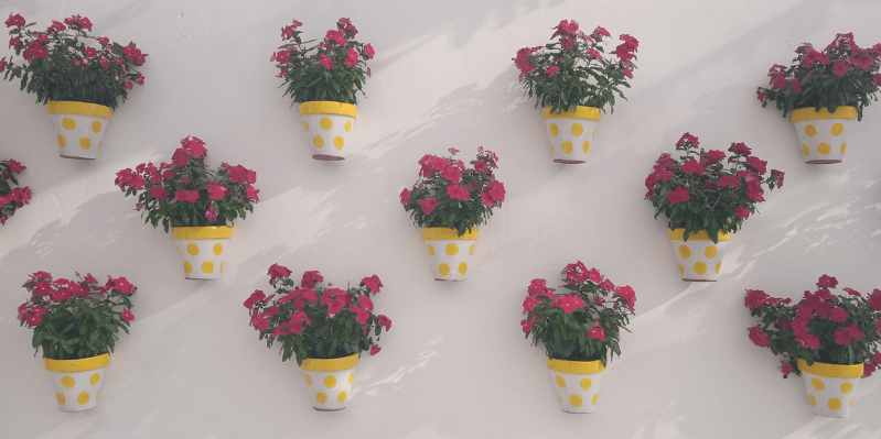 Día 1. PALMA - MÁLAGA