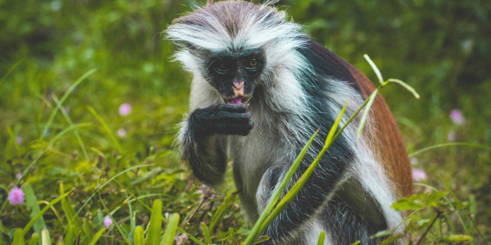 DAY 5: RELAX AND NIGHT OF STARS