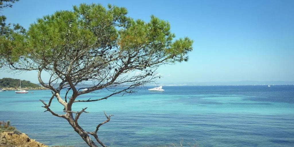 Giorno 2: Tolone-La Seyne sur Mer	