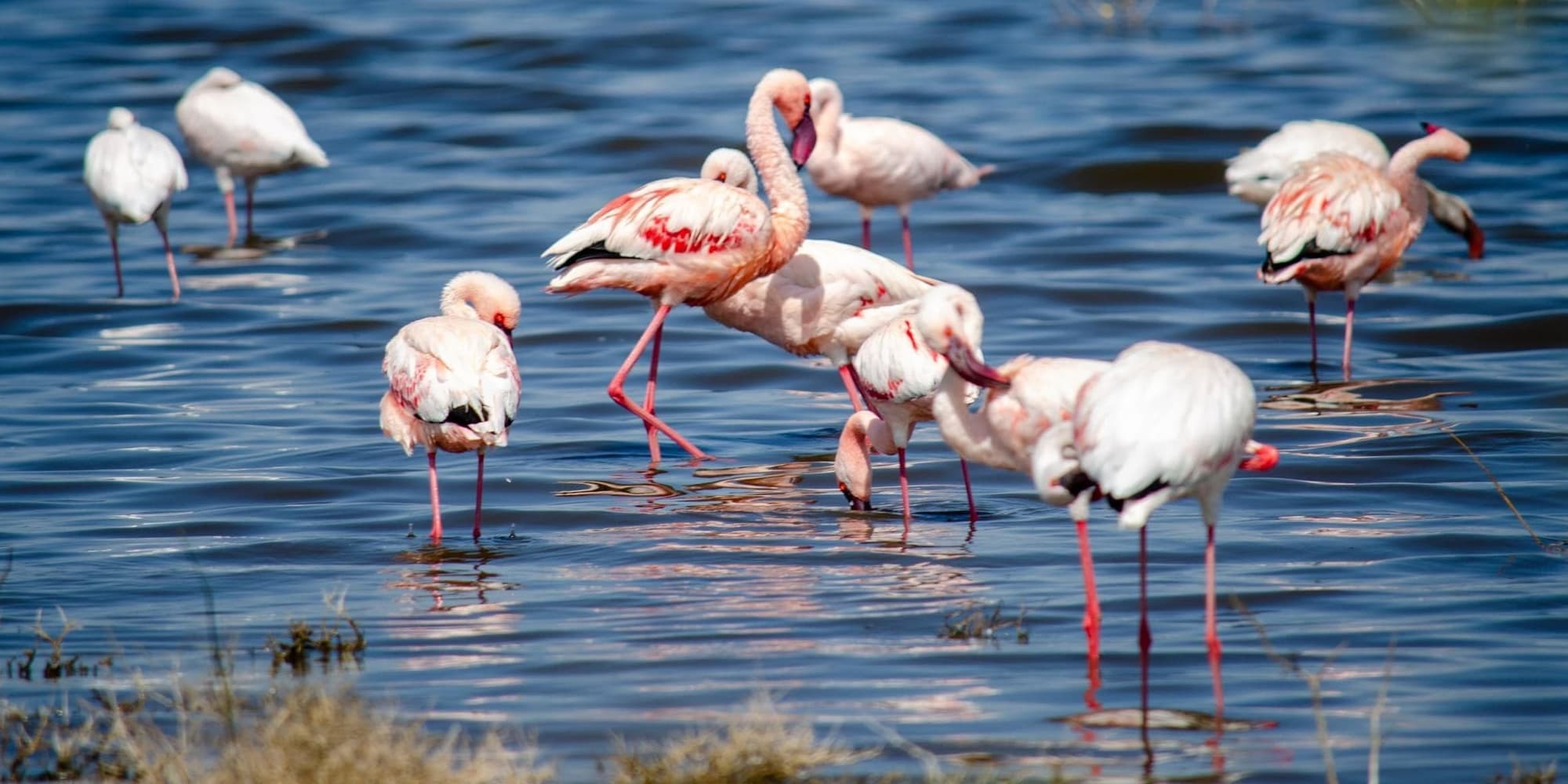 Lake Nakuru National Park