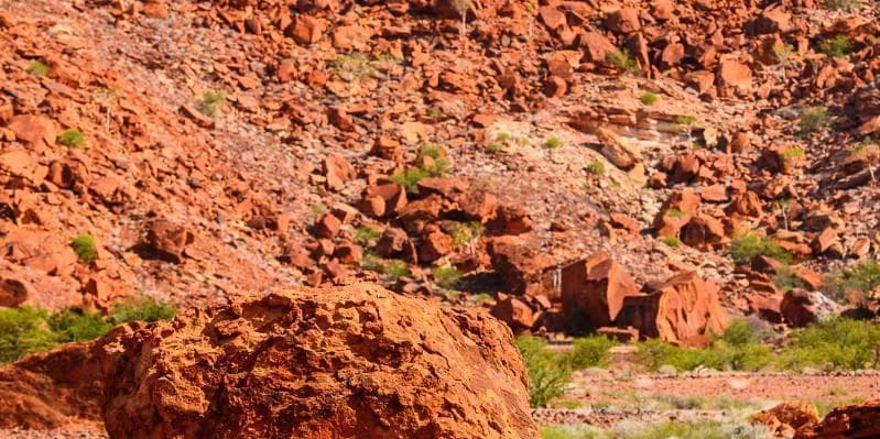 Jour 6 : Etosha sud - Twyfelfontein (285 km / 04h30)