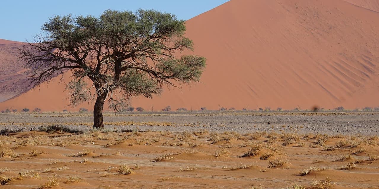 Giorno 6 - DAMARALAND 