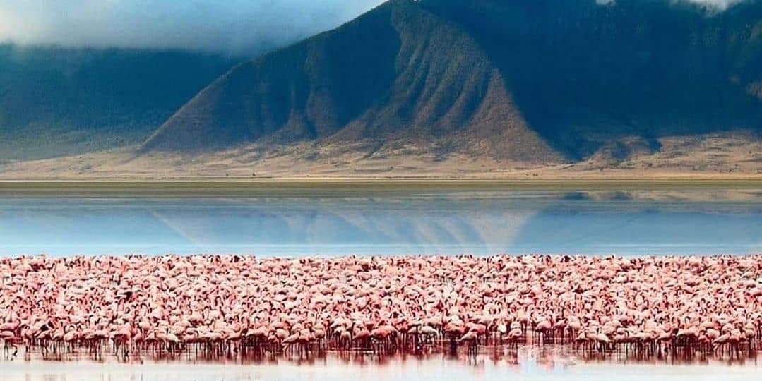 DAY 3 – Lake Manyara National Park