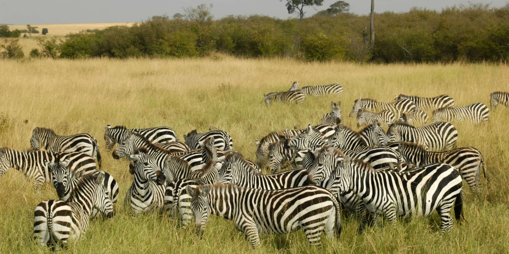  Masai Mara National Reserve
