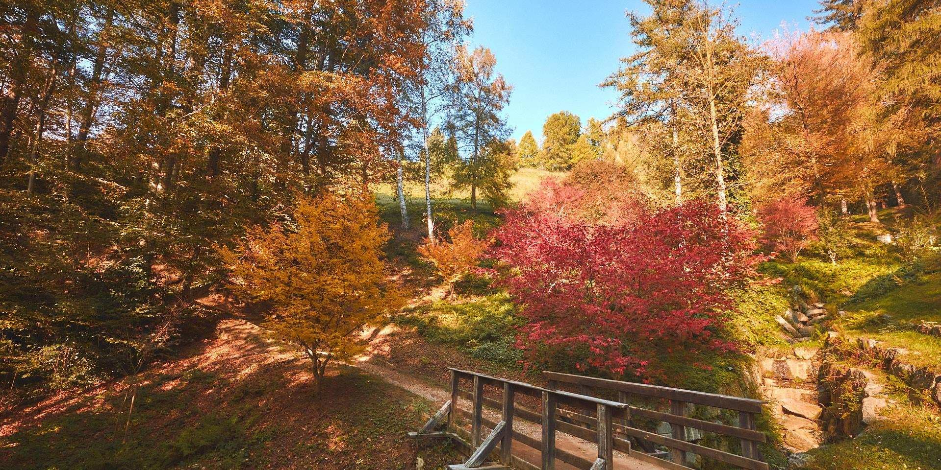 Biella - Pollone - Biella