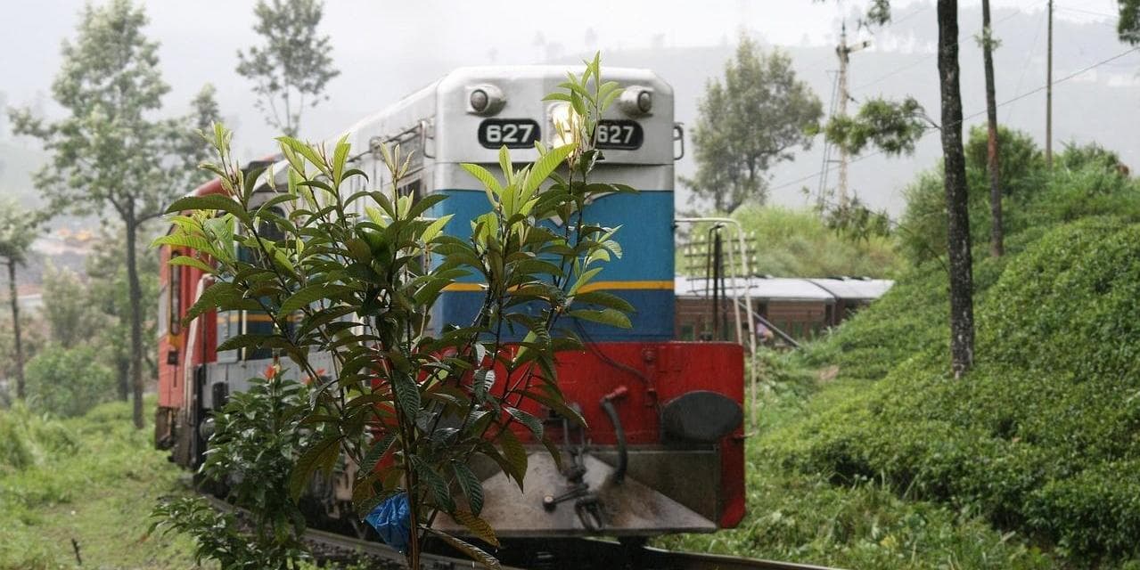 Giorno 06: KANDY / NUWARA ELIYA (circa 03 ore in auto)