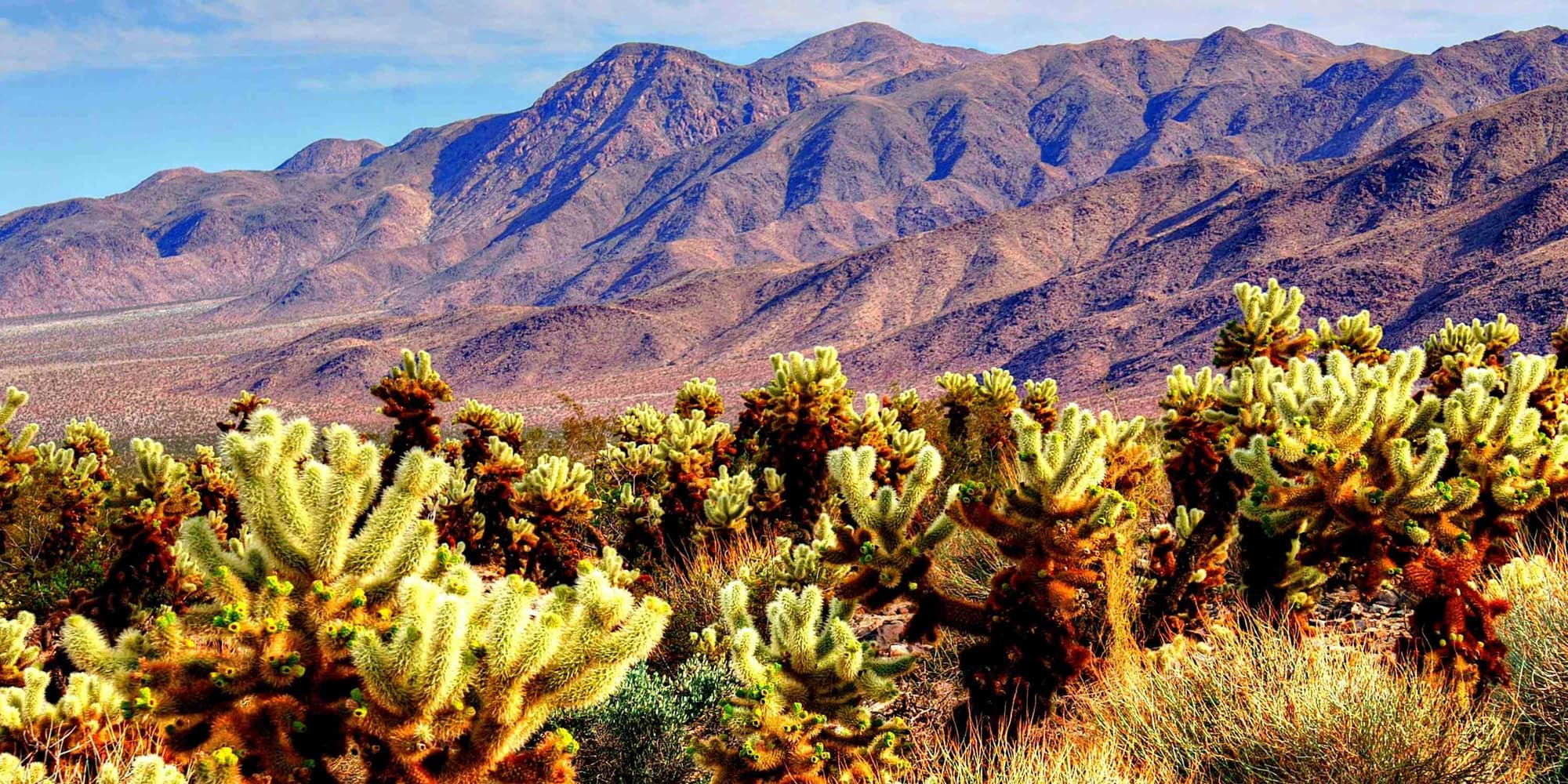 3º GIORNO: Los Angeles - Joshua - Laughlin