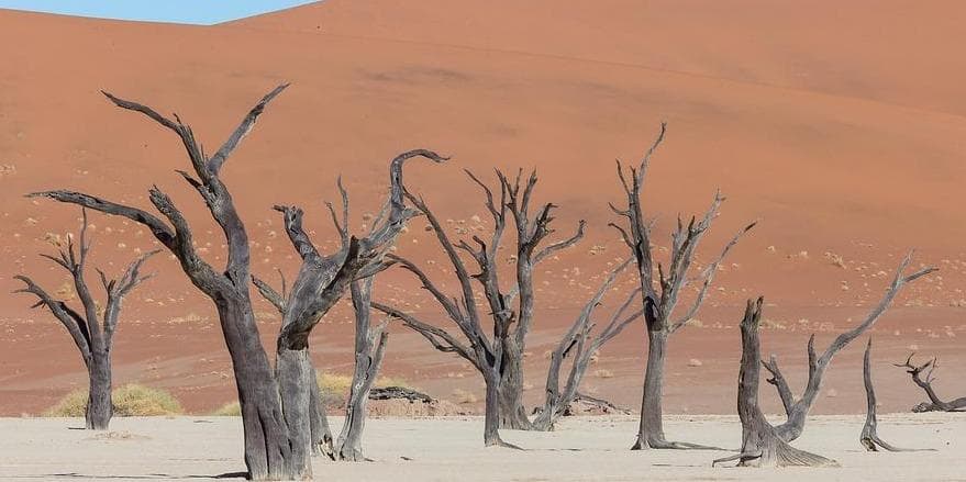 Giorno 3: Sossusvlei