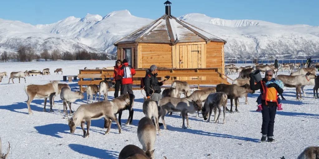 MARTES 29 DICIEMBRE / SAARISELKA – ROVANIEMI (280 KM)