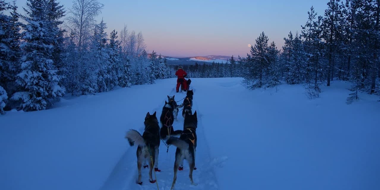GIORNO 04 LULEÅ – ATTIVITÀ OPZIONALI E TEMPO LIBERO