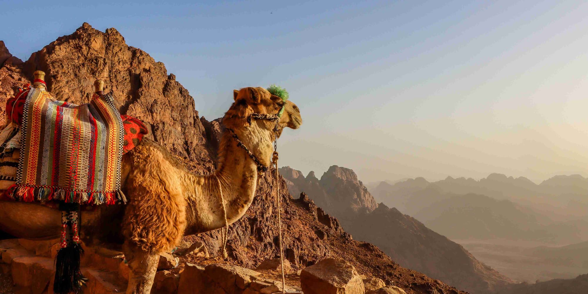 Jour 2 : Sharm el Sheikh