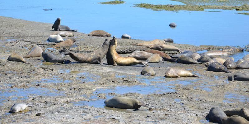 PUERTO MADRYN/TRELEW/USHUAIA