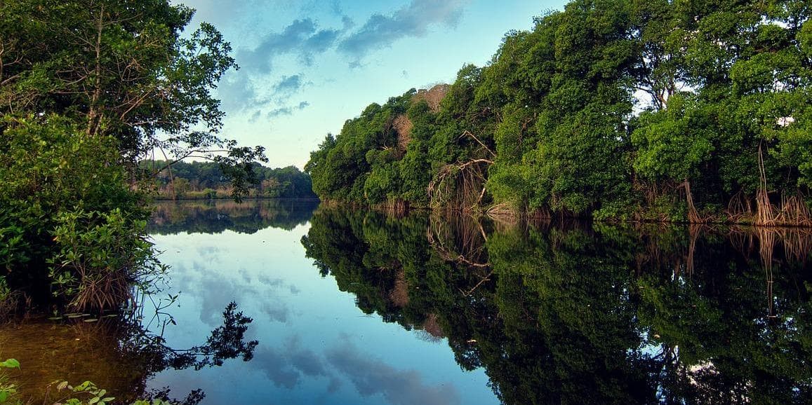 8º Giorno– Flores / Yaxchilan / Palenque (295 km)