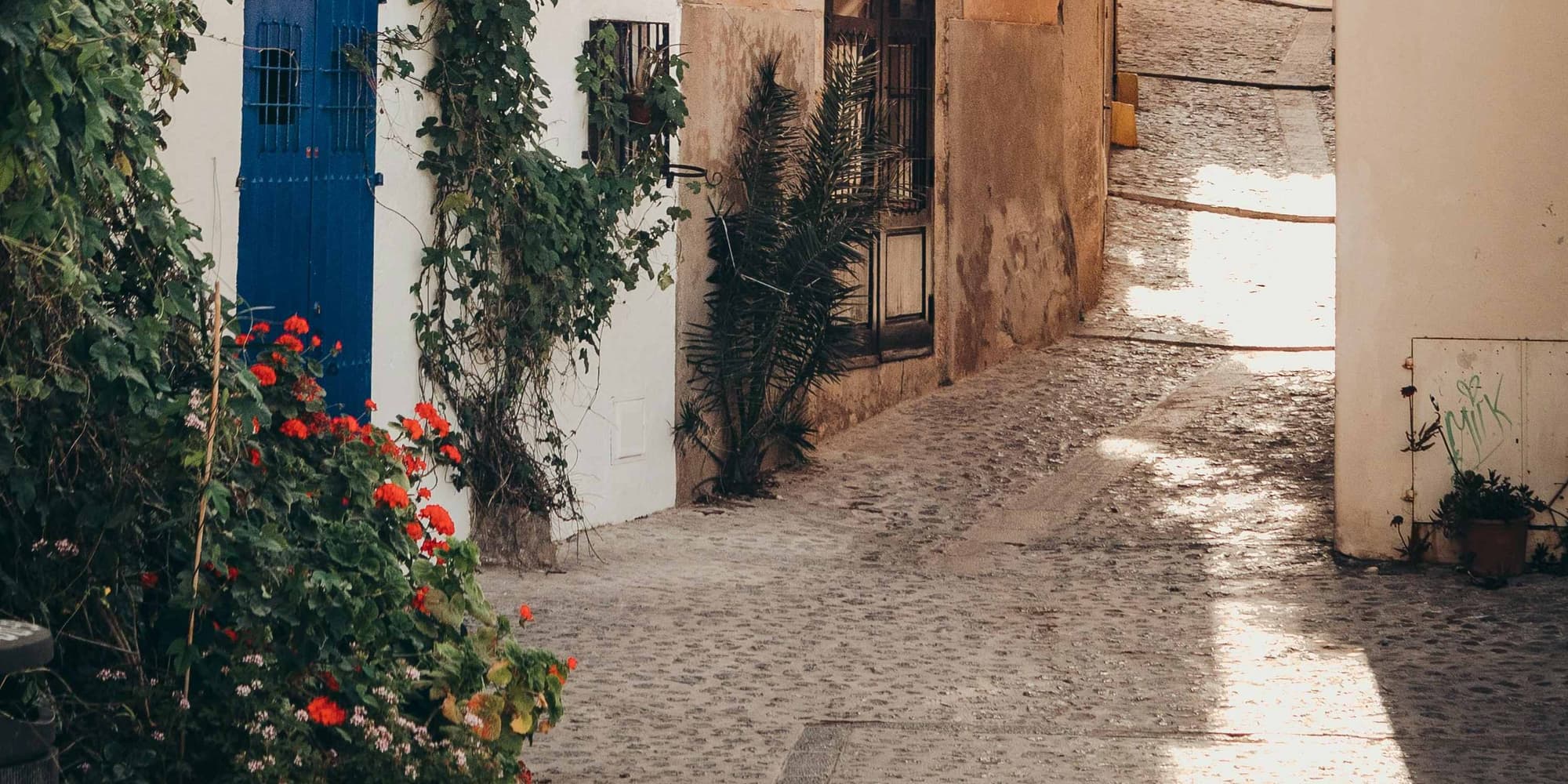 DÍA 5: DÍA SOCIAL EN LA PLAYA Y ACTIVIDADES ACUÁTICAS