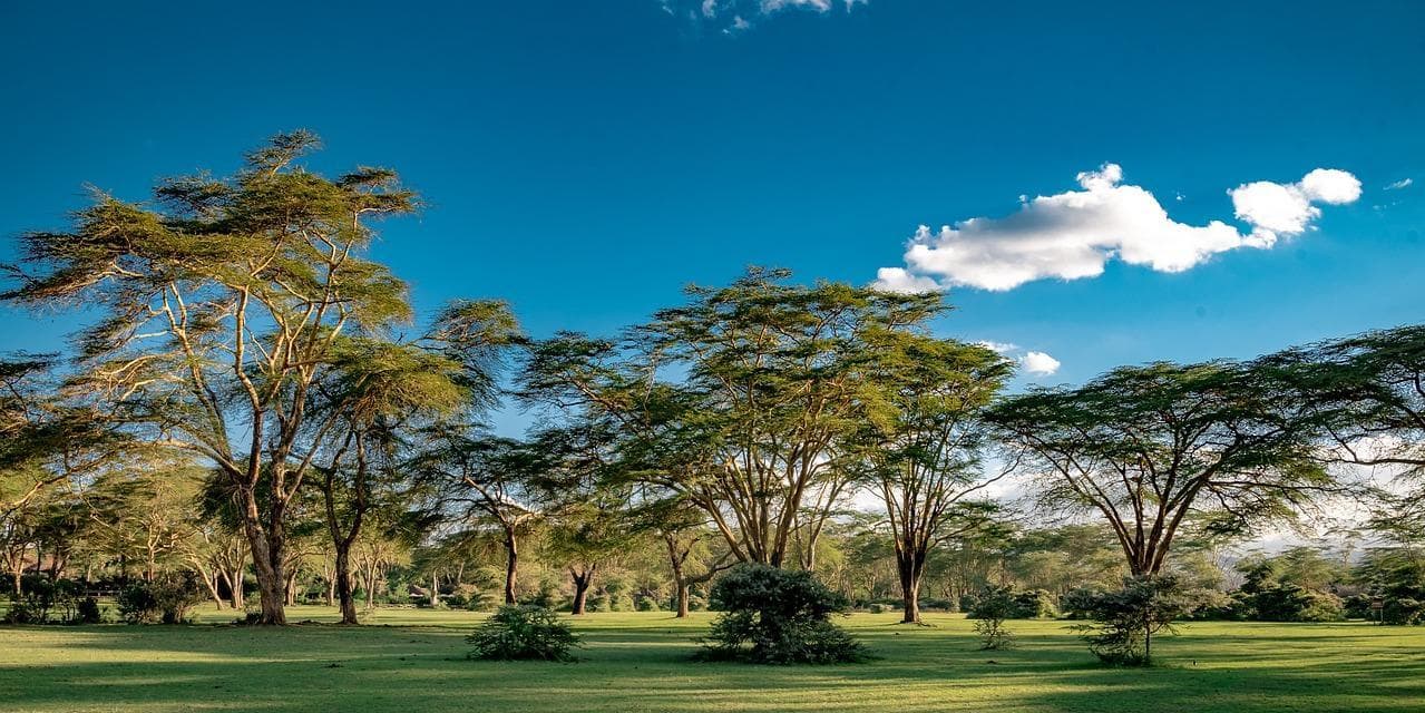 Day 4: Breakfast at the resort and depart for Nairobi to arrive in the early afternoon and later transfer to JKIA for your departure flight (B)