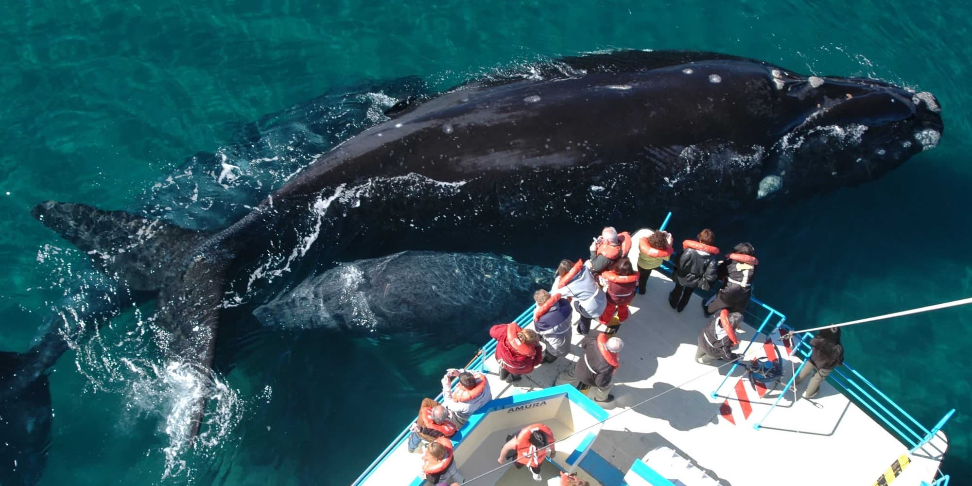 Day 12: From the End of the World to the Patagonian Atlantic