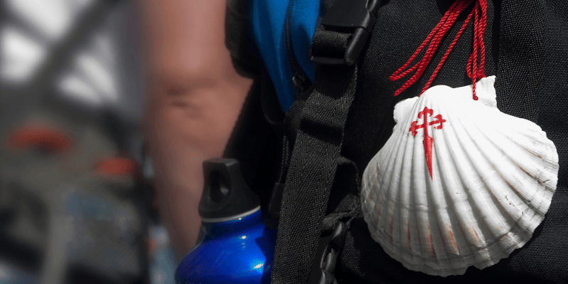 Día 4 - PALAS DE REI – ARZÚA