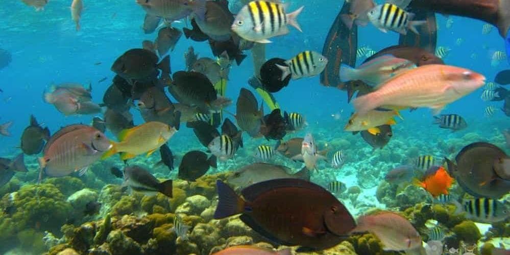 DAY 18 • SAN ANDRÉS