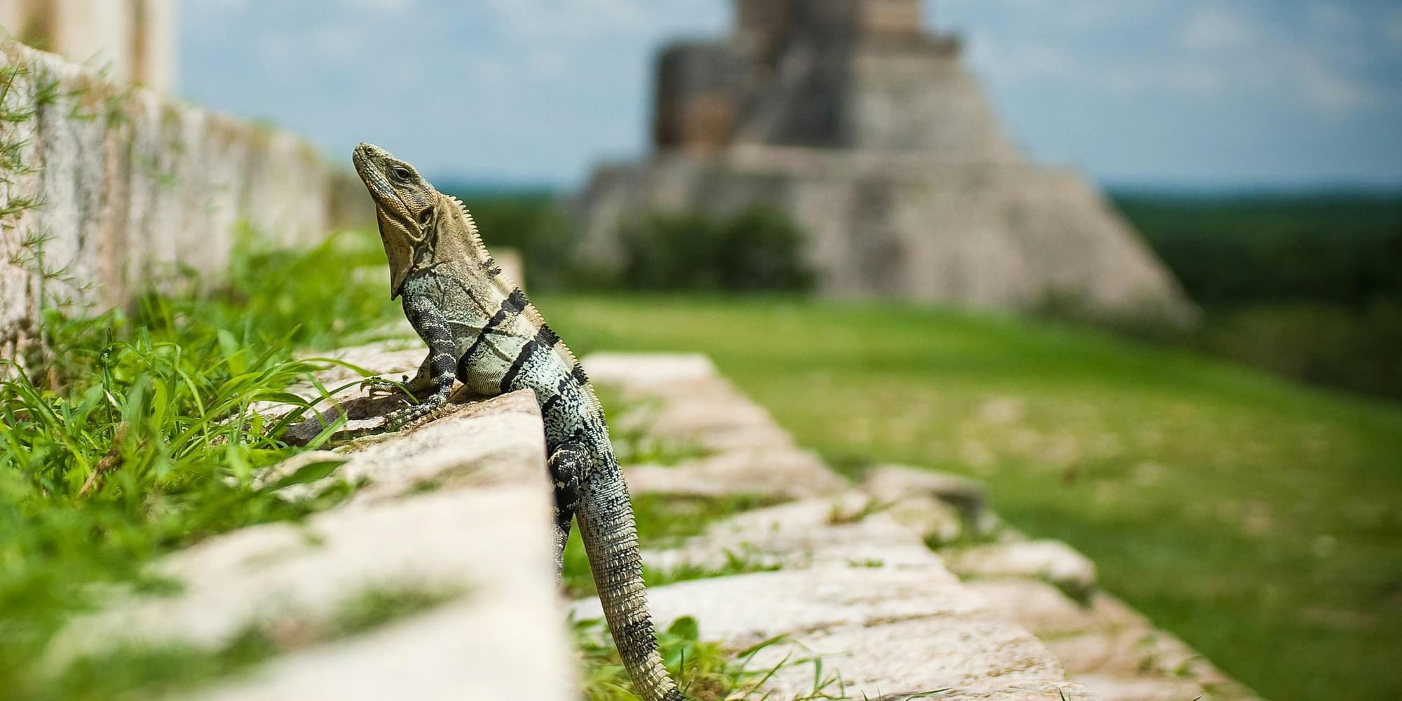 Riviera Maya & Touloum (free day) 