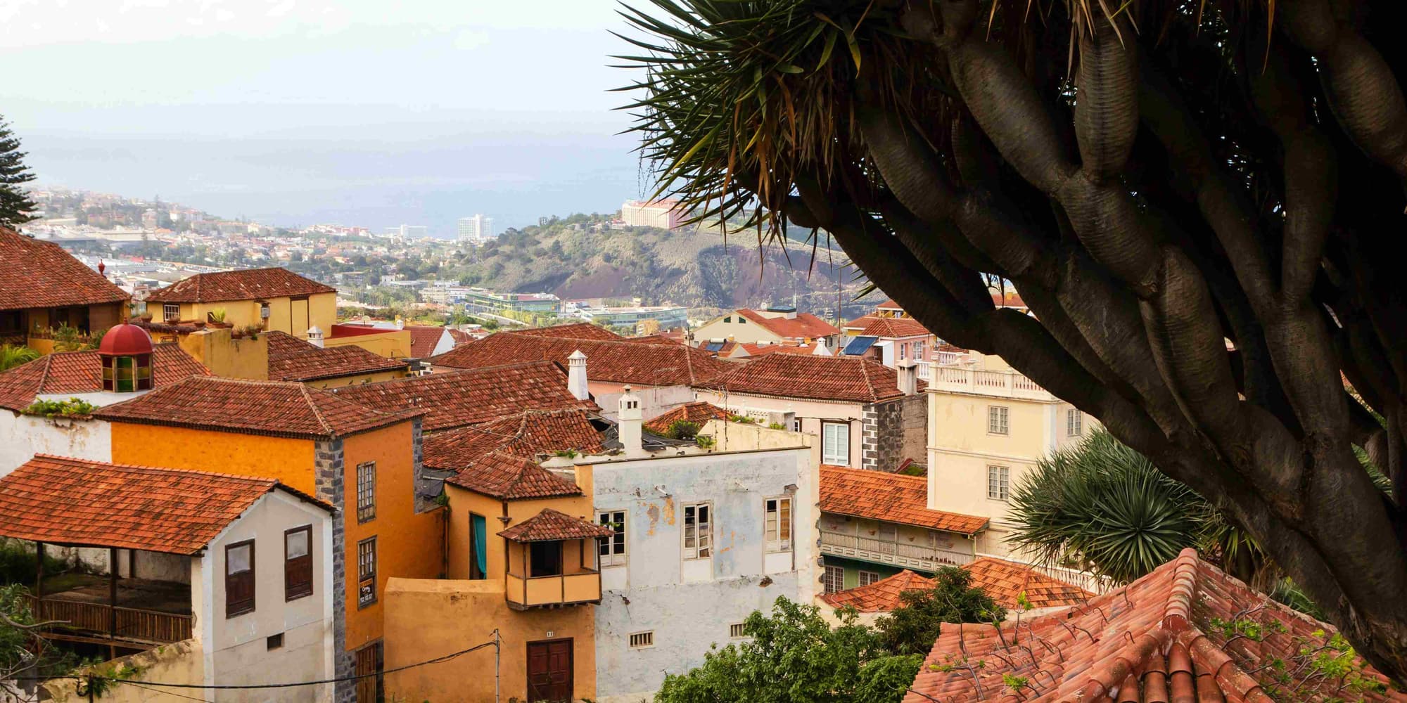 1º GIORNO: Tenerife Sud (Puerto Santiago) 