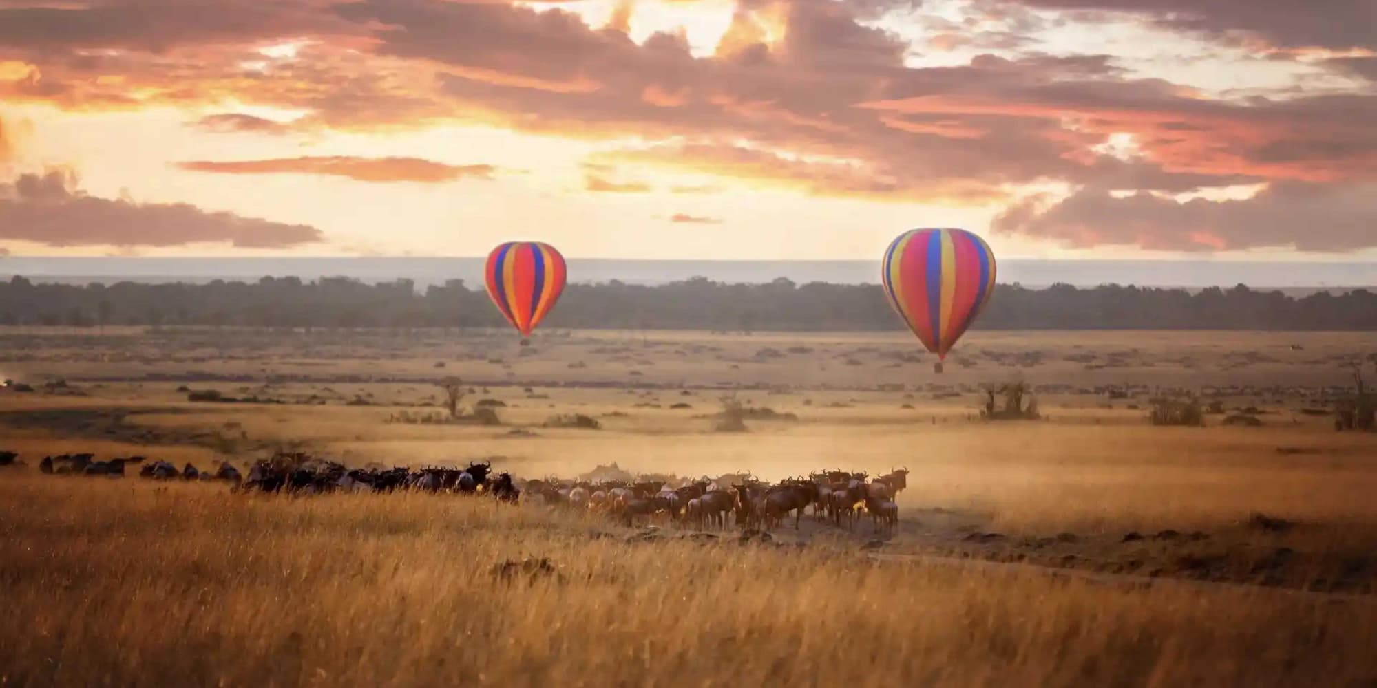 Día 6 | Domingo 24 de Mayo | Lago Victoria
