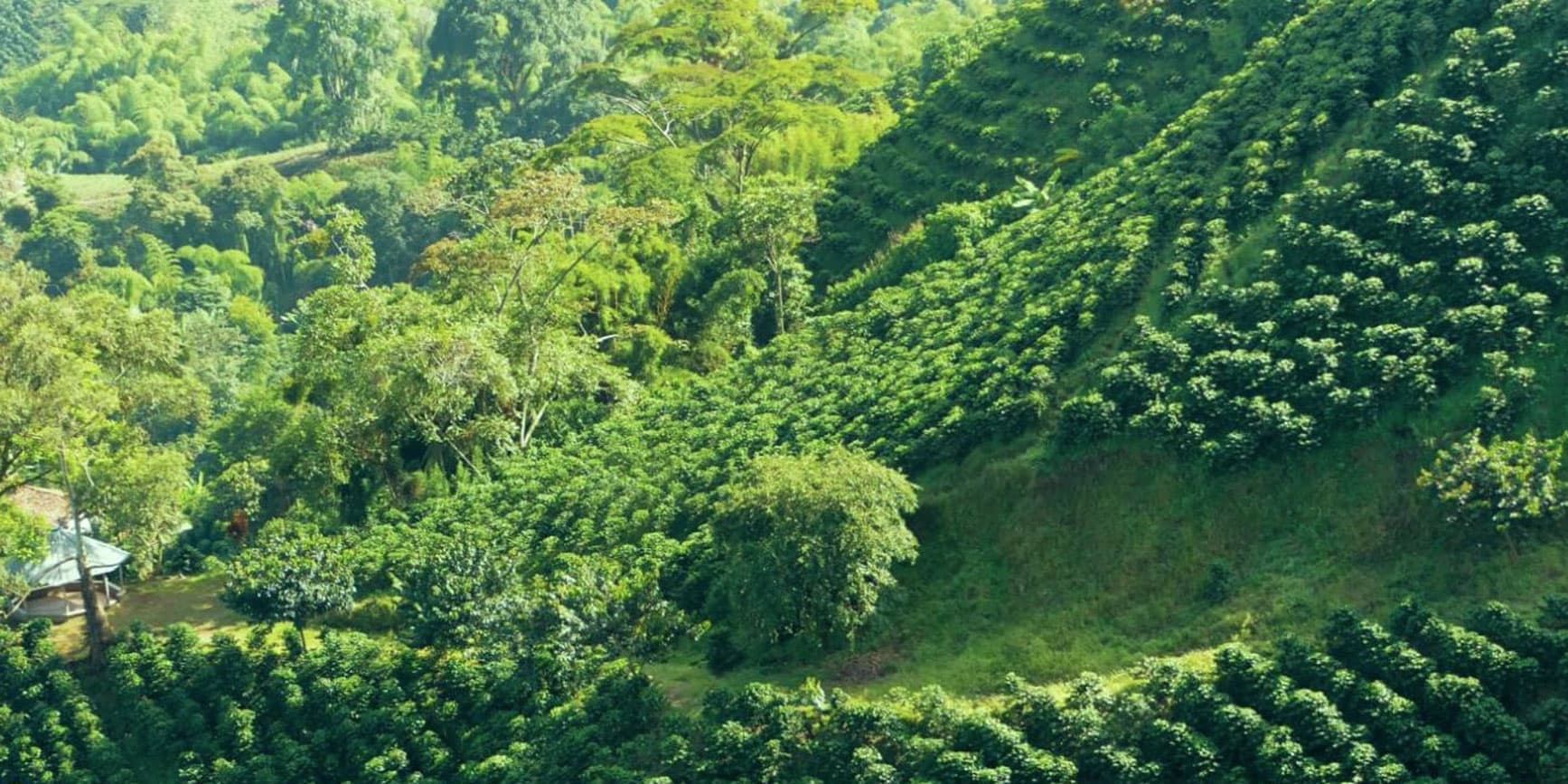 Day 4. Pereira – Free day 