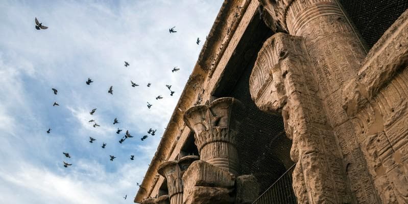 DAY 6 CRUISE - EDFU – KOM OMBO - ASWAN (B, L, D)