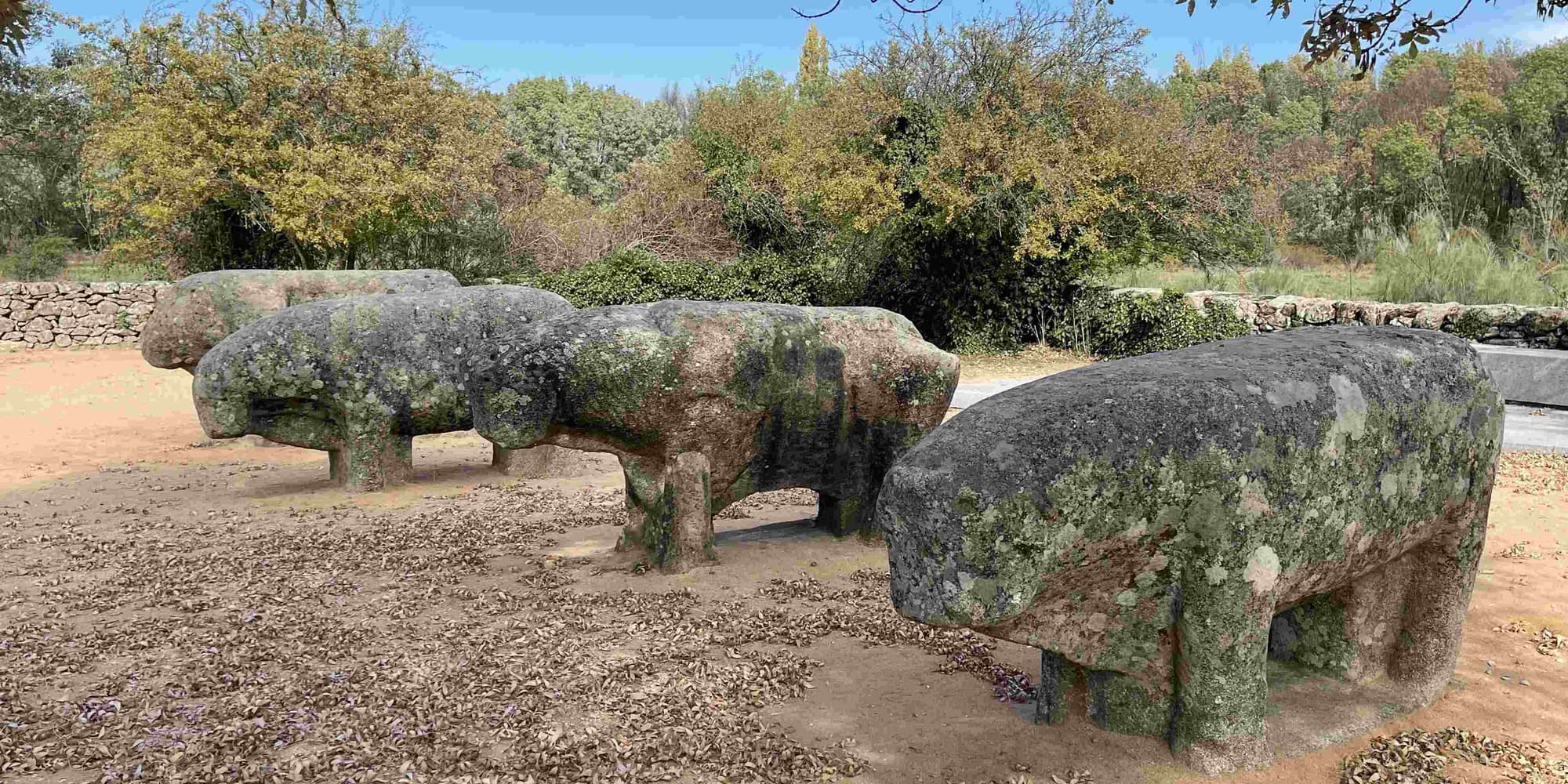 DIA 5: SAN MARTÍN DE VALDEIGLESIAS – EL TIEMBLO