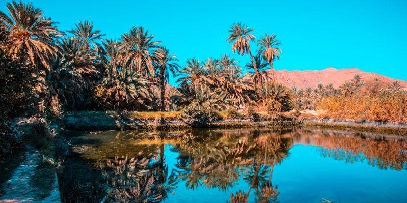 TAROUDANT / INGHREM / TAGMOUTE / TATA