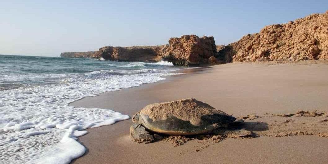 DAY 06: WAHIBA – SUR – RAS AL JINZ 