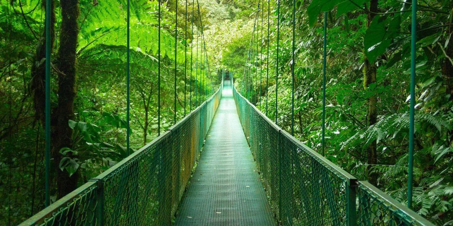 Day 4: Arenal - Monteverde