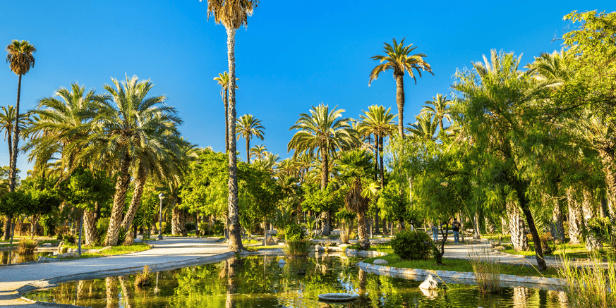 2 noviembre. ELCHE – ORIHUELA 