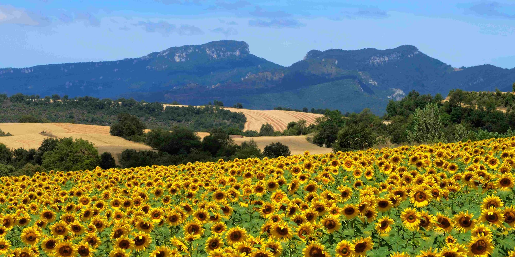 DÍA 2: VALDEGOVÍA - EL ASTILLERO